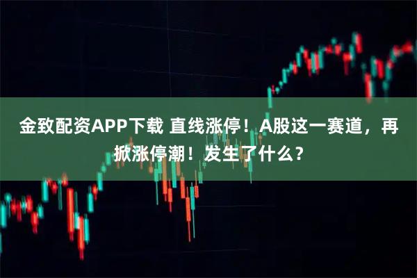 金致配资APP下载 直线涨停！A股这一赛道，再掀涨停潮！发生了什么？