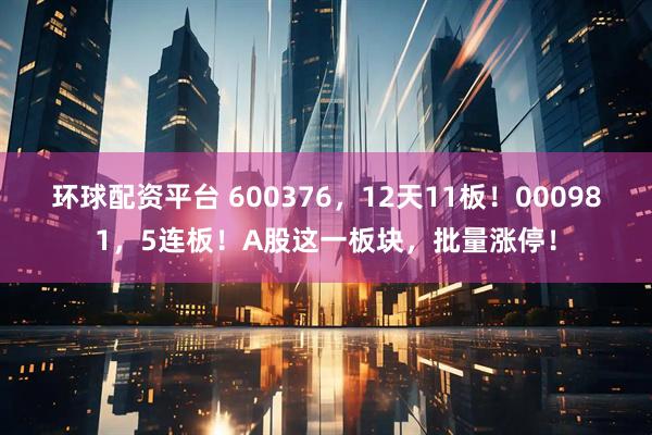 环球配资平台 600376，12天11板！000981，5连板！A股这一板块，批量涨停！