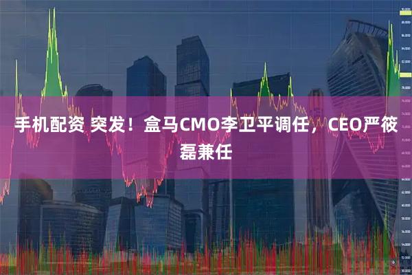 手机配资 突发！盒马CMO李卫平调任，CEO严筱磊兼任