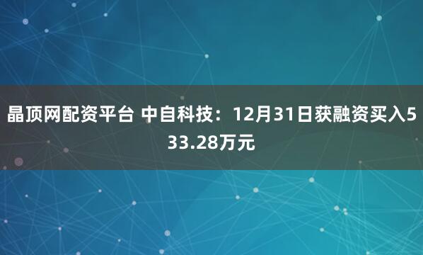 晶顶网配资平台 中自科技：12月31日获融资买入533.28万元
